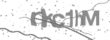 visual captcha